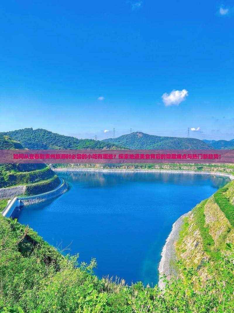如何从宜春到贵州旅游时必尝的小吃有哪些？探索地道美食背后的隐藏痛点与热门新趋势！