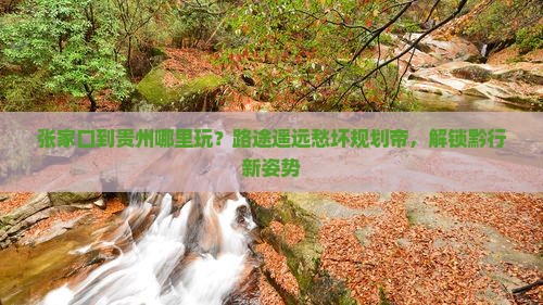 张家口到贵州哪里玩？路途遥远愁坏规划帝，解锁黔行新姿势