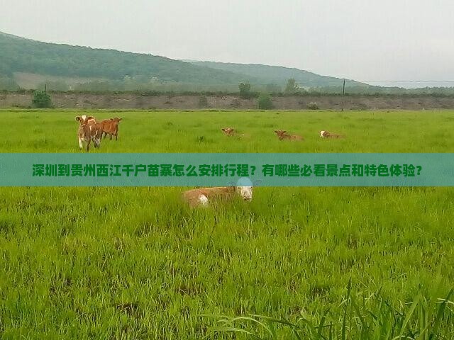 深圳到贵州西江千户苗寨怎么安排行程？有哪些必看景点和特色体验？