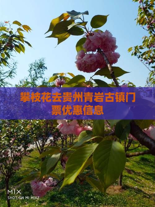 攀枝花去贵州青岩古镇门票优惠信息