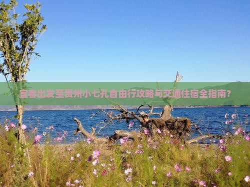 宜春出发至贵州小七孔自由行攻略与交通住宿全指南？