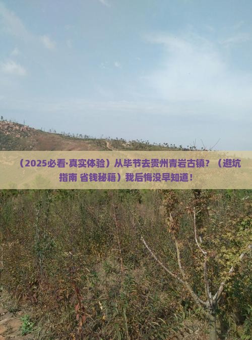 毕节到贵州青岩古镇必去地