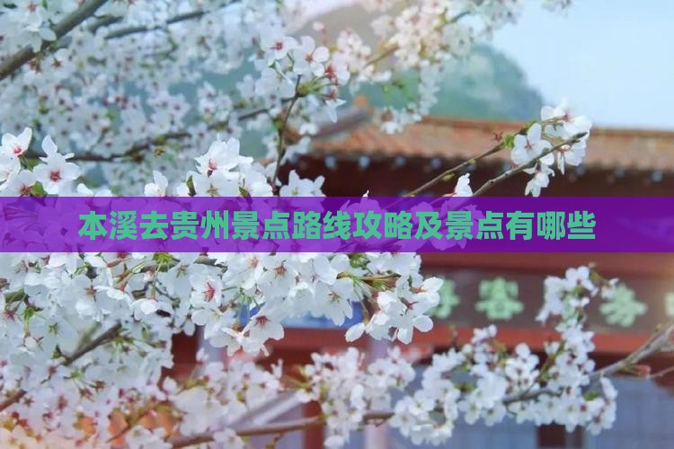 本溪去贵州景点