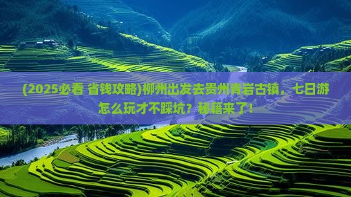 柳州到贵州青岩古镇七日游