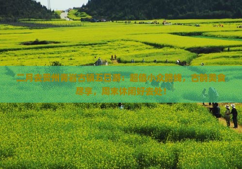 二月去贵州青岩古镇五日游