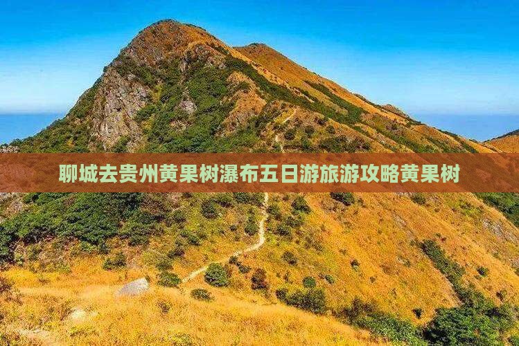 聊城去贵州黄果树瀑布五日游