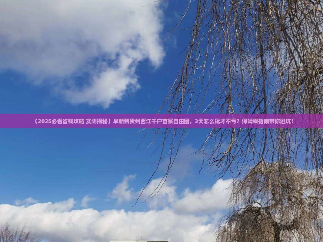 阜新到贵州西江千户苗寨自由团