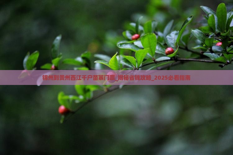 锦州到贵州西江千户苗寨门票