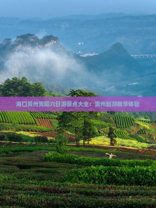 海口去贵州贵阳六日游