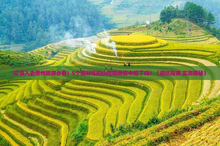 辽源去贵州旅游小吃