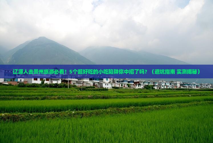 辽源去贵州旅游小吃