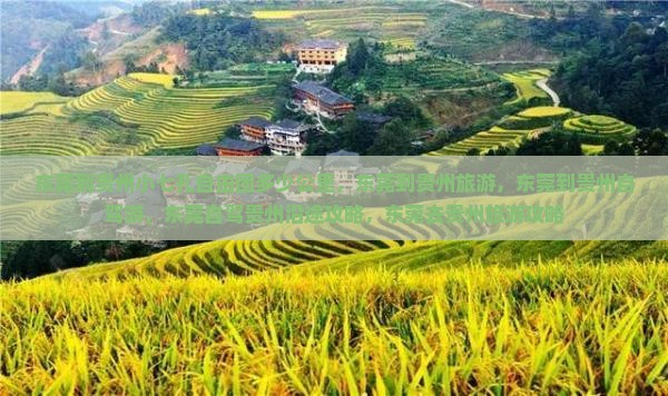 东莞到贵州小七孔自由团