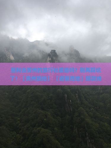 垦利去贵州旅行社