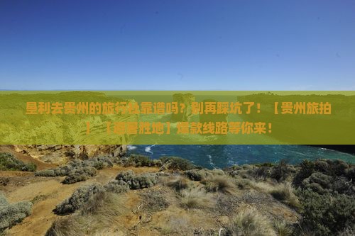 垦利去贵州旅行社