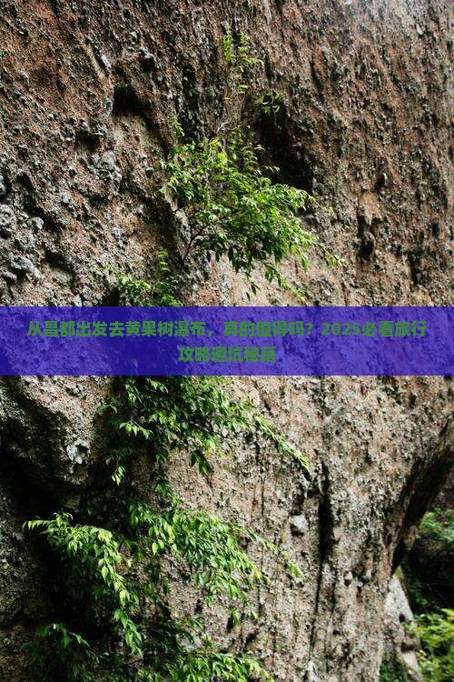 昌都去贵州黄果树瀑布景点
