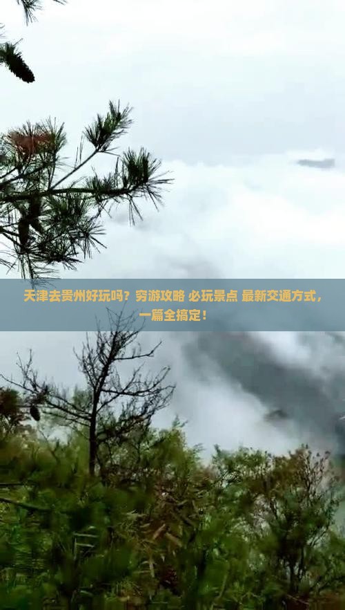 天津去贵州旅行社