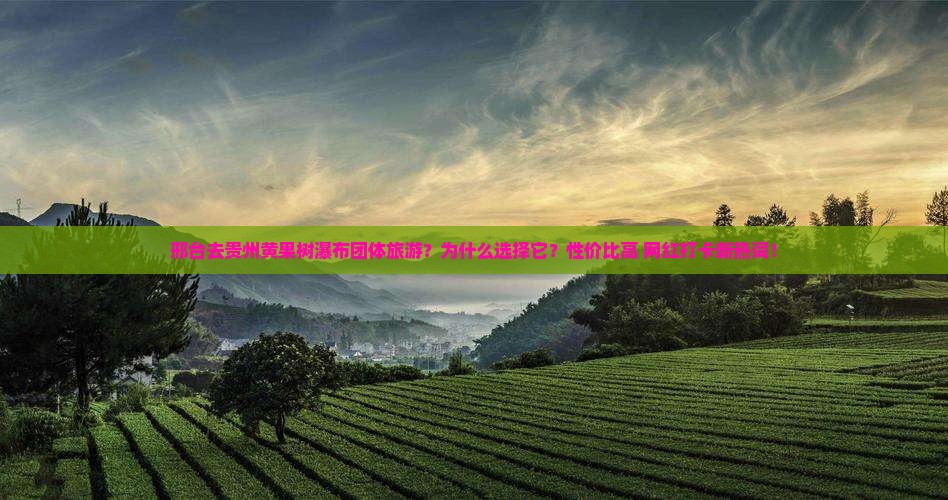 邢台去贵州黄果树瀑布团体旅游