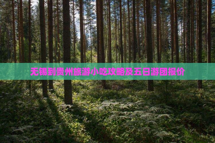 无锡到贵州旅游小吃攻略及五日游团报价