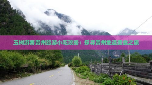 玉树游客贵州旅游小吃攻略：探寻贵州地道美食之旅