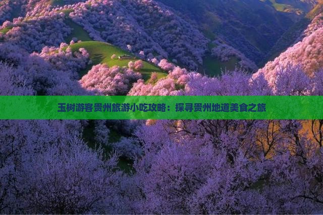 玉树游客贵州旅游小吃攻略：探寻贵州地道美食之旅