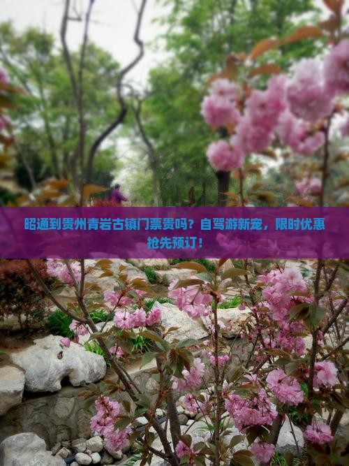 昭通到贵州青岩古镇门票贵吗？自驾游新宠，限时优惠抢先预订！
