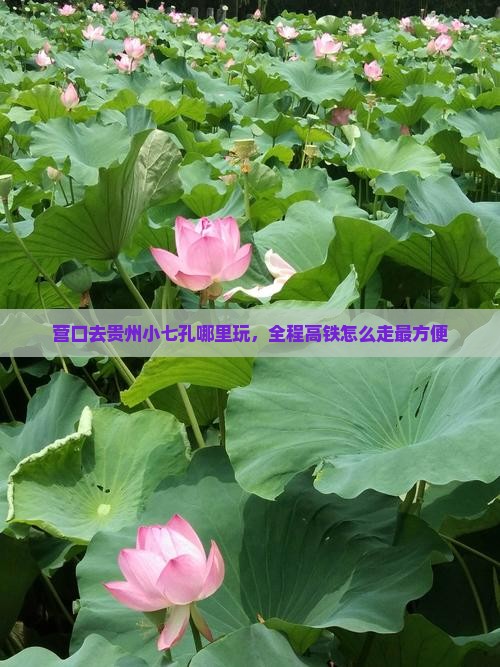 营口去贵州小七孔哪里玩，全程高铁怎么走最方便