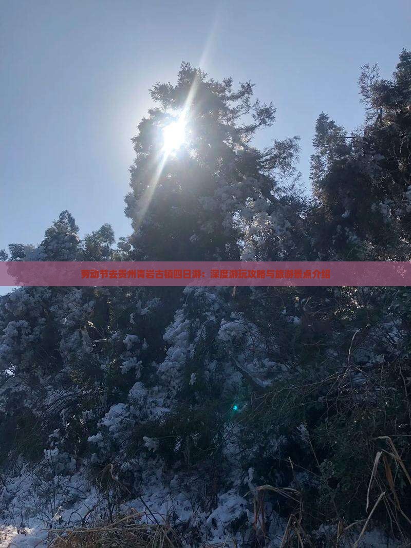 劳动节去贵州青岩古镇四日游：深度游玩攻略与旅游景点介绍