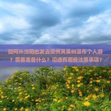 如何从沈阳出发去贵州黄果树瀑布个人游？需要准备什么？沿途有哪些注意事项？