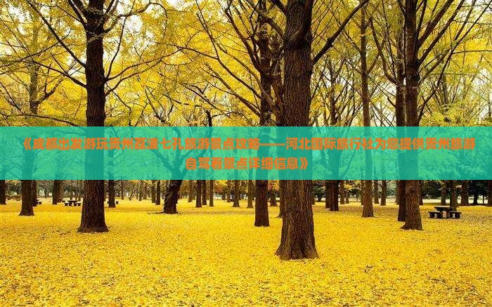 《成都出发游玩贵州荔波七孔旅游景点攻略——河北国际旅行社为您提供贵州旅游自驾看景点详细信息》