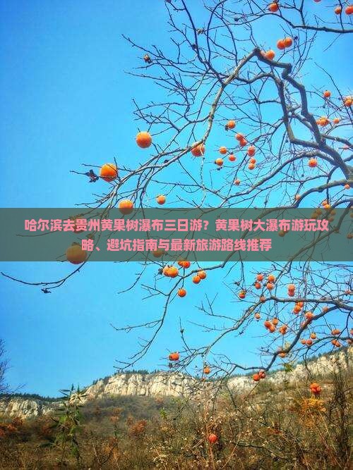 哈尔滨去贵州黄果树瀑布三日游？黄果树大瀑布游玩攻略、避坑指南与最新旅游路线推荐