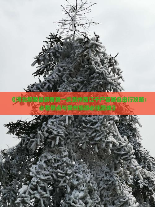 《河北鄢陵县游客第一次贵州西江千户苗寨自由行攻略：必看景点与贵州旅游必佳路线》