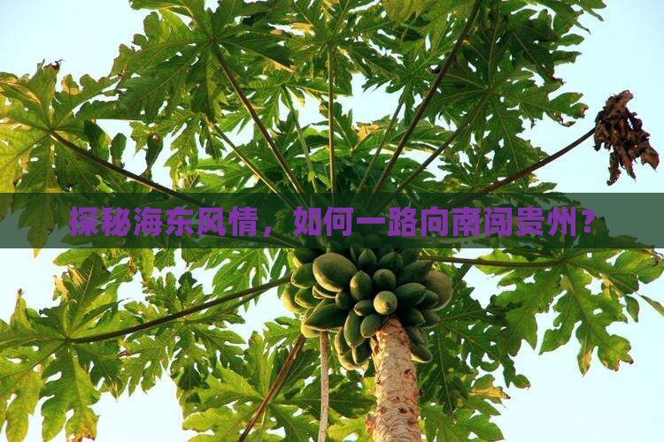 探秘海东风情，如何一路向南闯贵州？