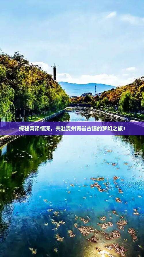 探秘菏泽情深，共赴贵州青岩古镇的梦幻之旅！