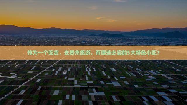 作为一个吃货，去贵州旅游，有哪些必尝的5大特色小吃？
