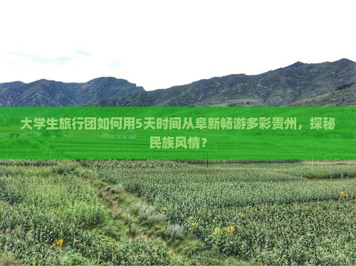 大学生旅行团如何用5天时间从阜新畅游多彩贵州，探秘民族风情？