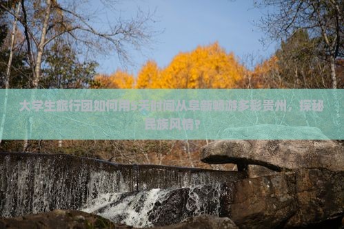 大学生旅行团如何用5天时间从阜新畅游多彩贵州，探秘民族风情？