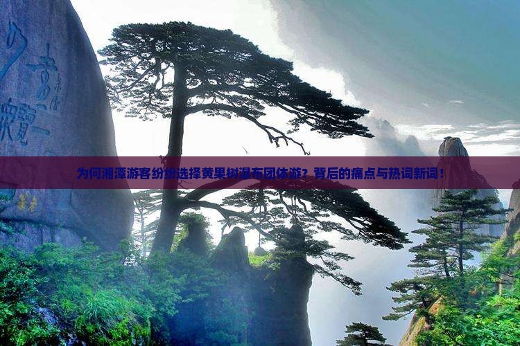 为何湘潭游客纷纷选择黄果树瀑布团体游？背后的痛点与热词新词！