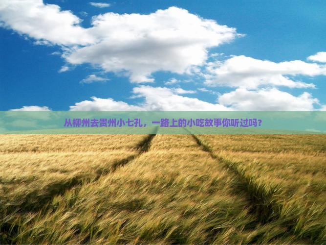从柳州去贵州小七孔，一路上的小吃故事你听过吗？