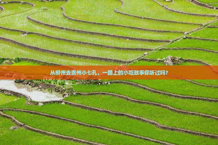 从柳州去贵州小七孔，一路上的小吃故事你听过吗？