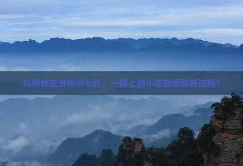 从柳州去贵州小七孔，一路上的小吃故事你听过吗？