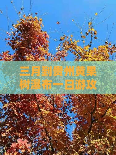 三月到贵州黄果树瀑布一日游攻略及感受