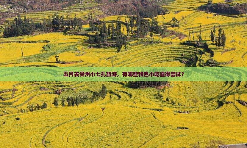 五月去贵州小七孔旅游，有哪些特色小吃值得尝试？
