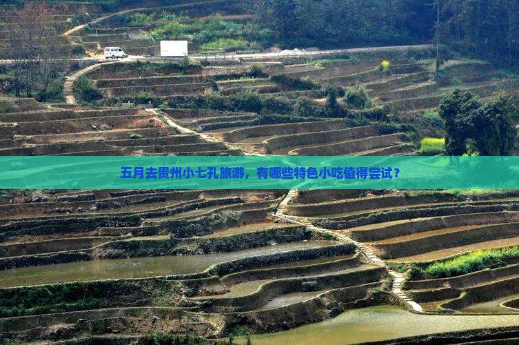 五月去贵州小七孔旅游，有哪些特色小吃值得尝试？