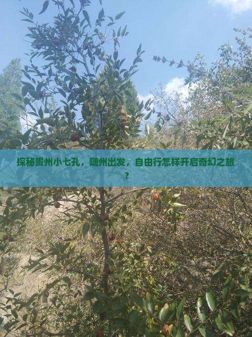探秘贵州小七孔，随州出发，自由行怎样开启奇幻之旅？