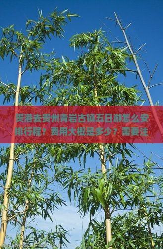 贵港去贵州青岩古镇五日游怎么安排行程？费用大概是多少？需要注意什么？