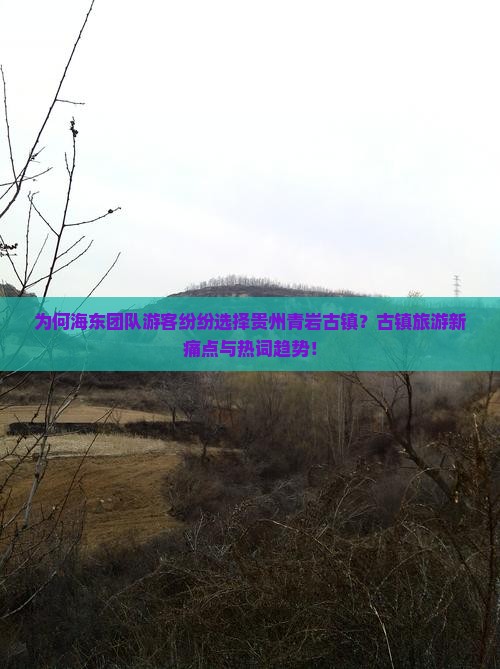 为何海东团队游客纷纷选择贵州青岩古镇？古镇旅游新痛点与热词趋势！