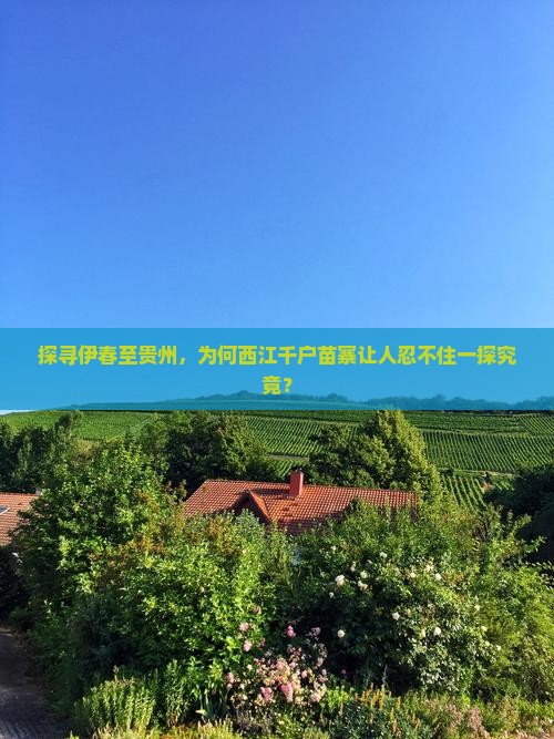 探寻伊春至贵州，为何西江千户苗寨让人忍不住一探究竟？