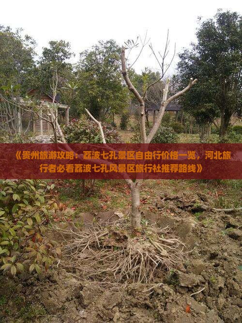 《贵州旅游攻略：荔波七孔景区自由行价格一览，河北旅行者必看荔波七孔风景区旅行社推荐路线》