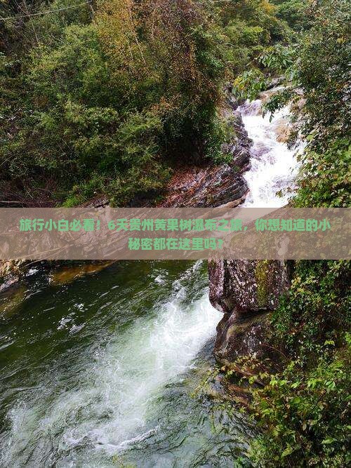 旅行小白必看！6天贵州黄果树瀑布之旅，你想知道的小秘密都在这里吗？