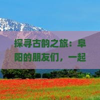 探寻古韵之旅：阜阳的朋友们，一起去贵州青岩古镇探险吗？